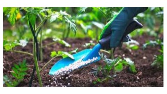 Upatikanaji wa Pembejeo